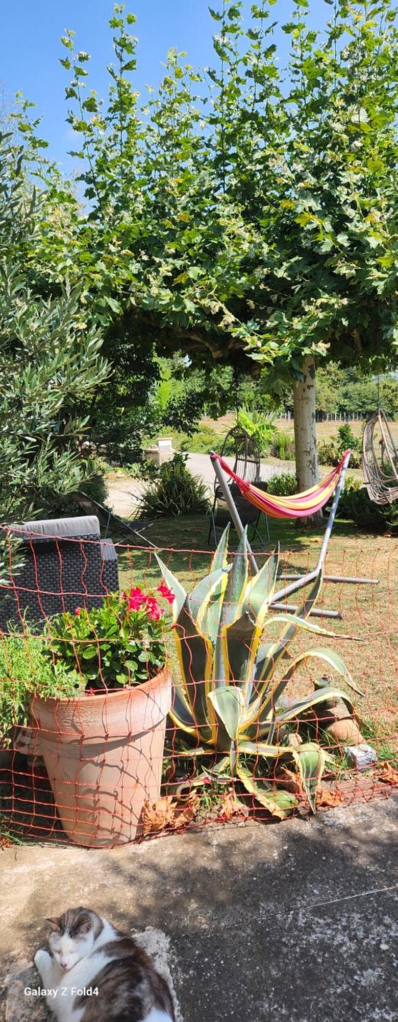 Les Figuets Βίλα Chateauneuf-de-Galaure Εξωτερικό φωτογραφία